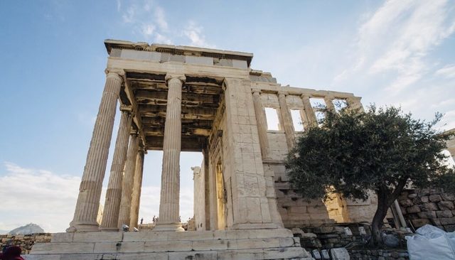 This sacred olive tree in Acropolis is believed to be planted by Athena herself and stands as a strong greek symbol Greek City Times, Acropolis Athens.