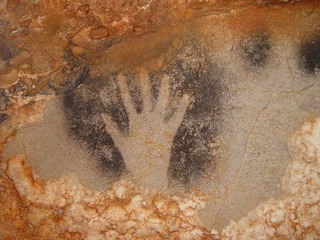 Cover of Rethinking 'The Human'