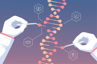 Cover of Gene Editing