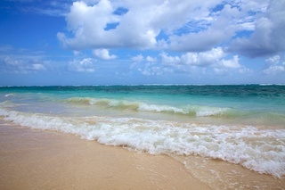 Cover of Plastic Pollution In Oceans