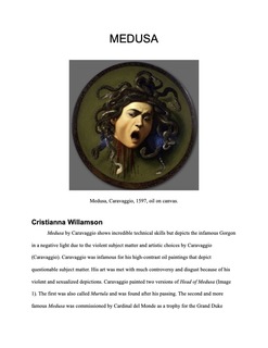 Cover of Medusa Virtual Museum